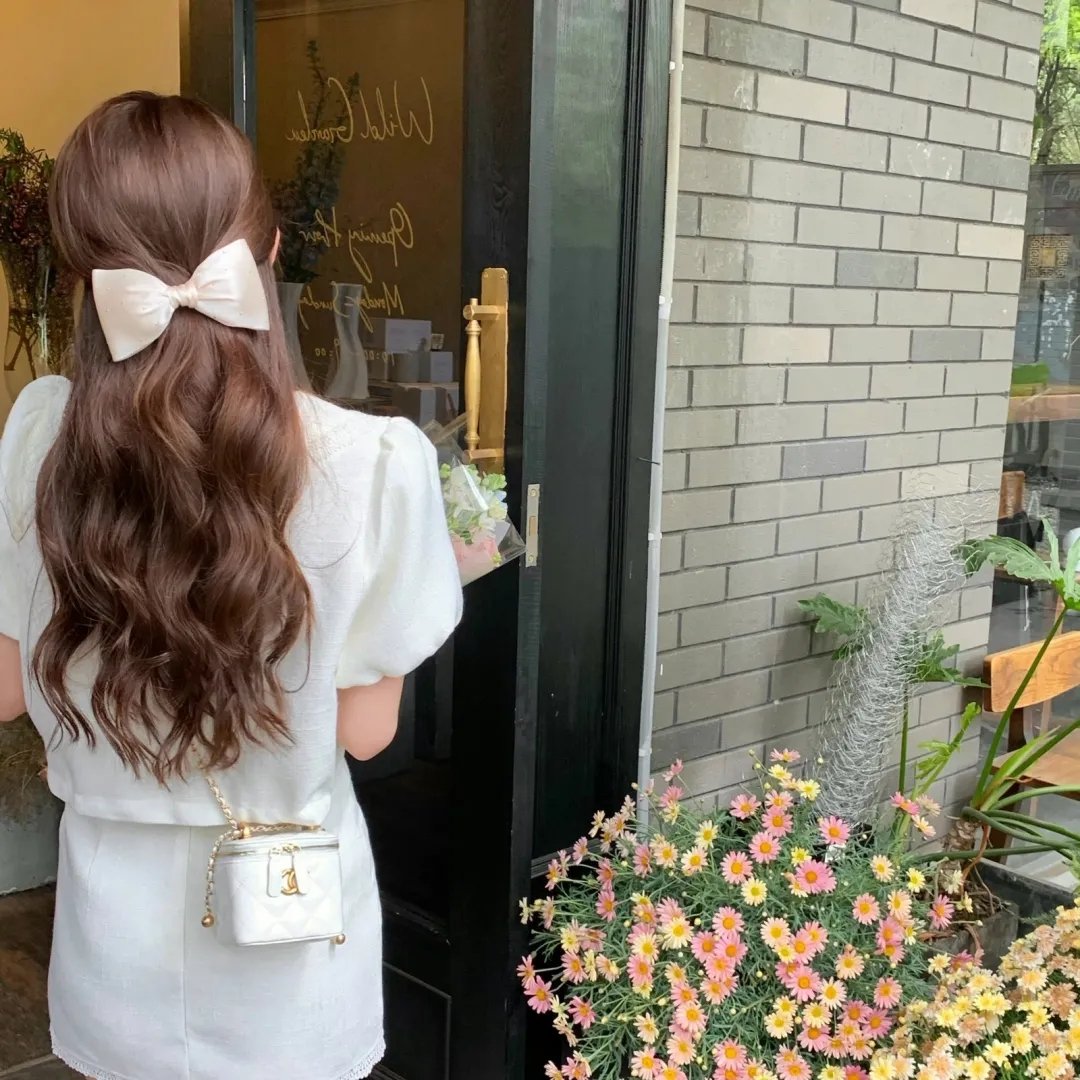第一夫人的逆袭