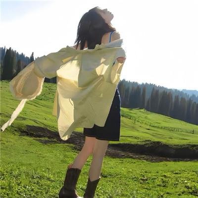 青天白日满地红